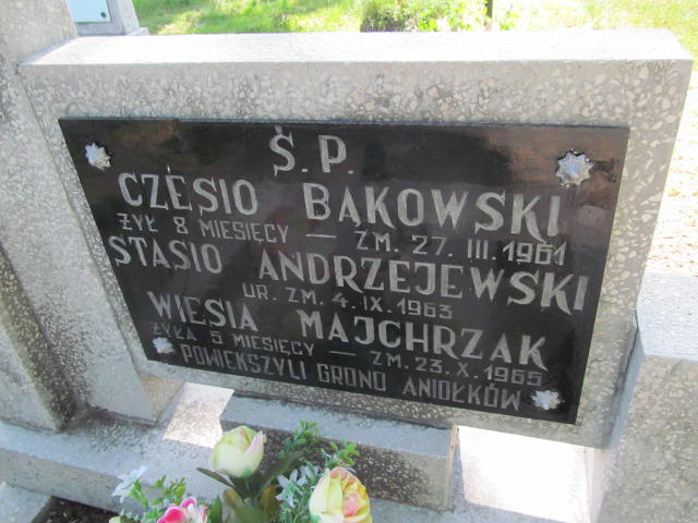 Stanisław Andrzejewski 1963 Krzymów - Grobonet - Wyszukiwarka osób pochowanych